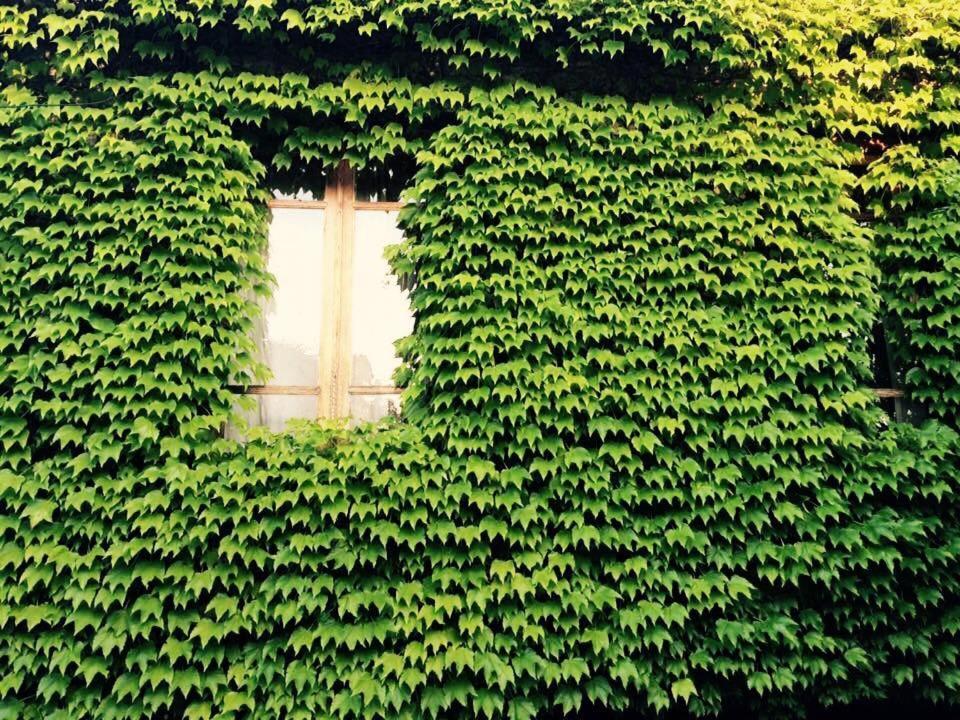 Hotel Green House Lagodeji Exterior foto